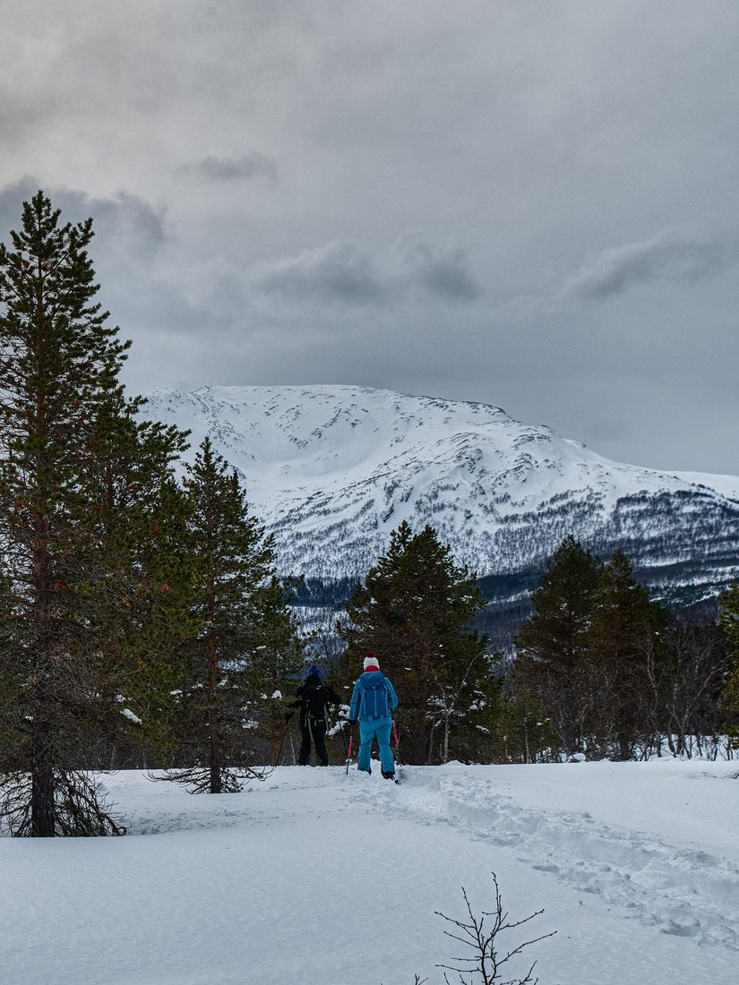 Escursionisti con le ciaspole in una pineta innevata in Norvegia